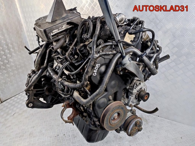 Двигатель G8DB Ford C-MAX 1.6 Дизель 7M5Q6007FB