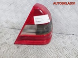 Фонарь задний правый Mercedes W202 A2028201064 (Изображение 1)