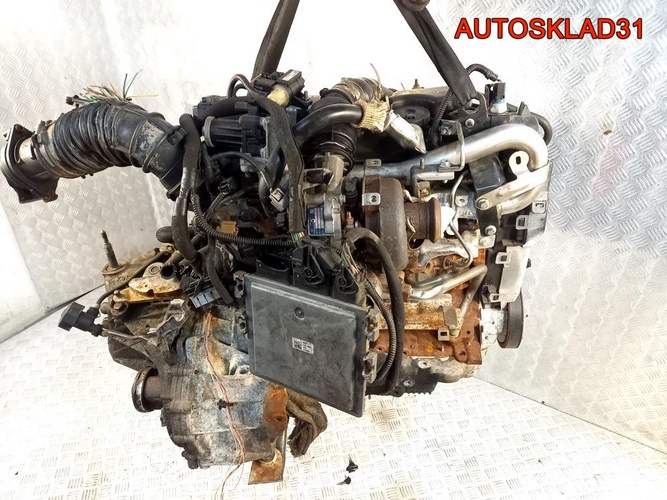 Двигатель K9K 636 Renault Kangoo 3 1.5 Дизель
