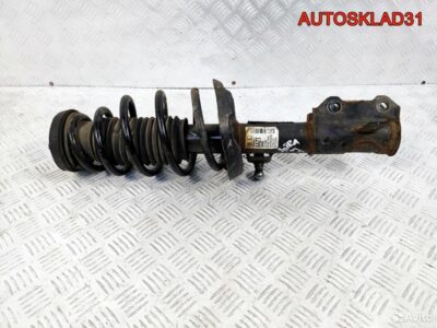 Амортизатор передний левый Opel Astra J 13354011 - АвтоСклад31.рф - авторазборка контрактные б/у запчасти в г. Белгород