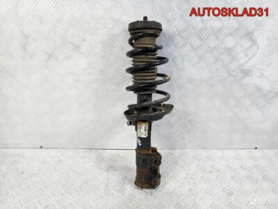Амортизатор передний левый Opel Astra J 13354011 - АвтоСклад31.рф - авторазборка контрактные б/у запчасти в г. Белгород