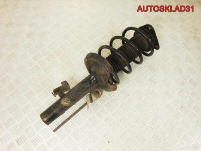 Амортизатор передний левый Ford Focus 2 - АвтоСклад31.рф - авторазборка контрактные б/у запчасти в г. Белгород