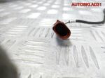 Датчик температуры VW Touran 03G906088 - АвтоСклад31.рф - авторазборка контрактные б/у запчасти в г. Белгород
