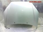 Капот Ford Focus 1 1430131 - АвтоСклад31.рф - авторазборка контрактные б/у запчасти в г. Белгород