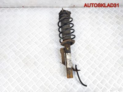 Амортизатор передний правый Ford Fusion 1329533 - АвтоСклад31.рф - авторазборка контрактные б/у запчасти в г. Белгород