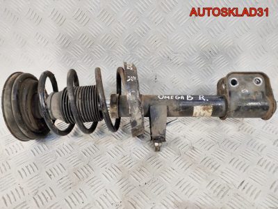 Амортизатор передний правый Opel Omega B 90575393 - АвтоСклад31.рф - авторазборка контрактные б/у запчасти в г. Белгород