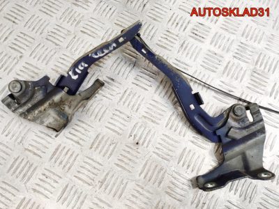 Петли капота комплект Kia Ceed 1 791101H000 - АвтоСклад31.рф - авторазборка контрактные б/у запчасти в г. Белгород